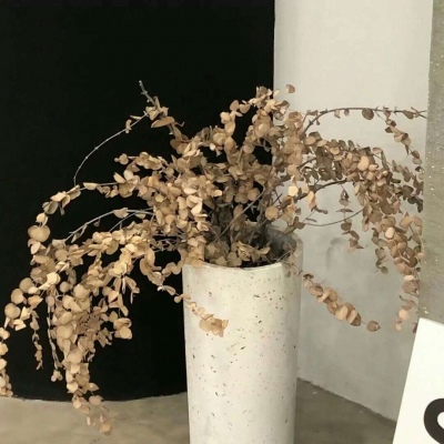 Furry数位绘画技巧FurryQQ群